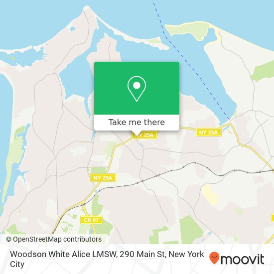Mapa de Woodson White Alice LMSW, 290 Main St