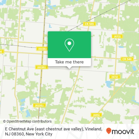 Mapa de E Chestnut Ave (east chestnut ave valley), Vineland, NJ 08360