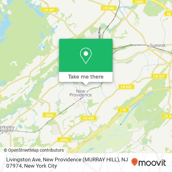 Livingston Ave, New Providence (MURRAY HILL), NJ 07974 map