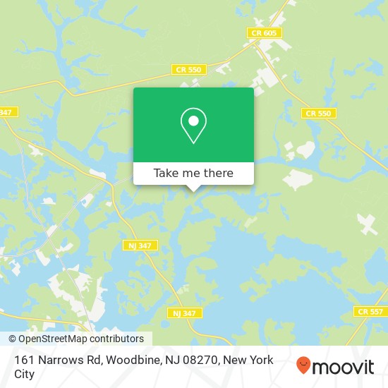 161 Narrows Rd, Woodbine, NJ 08270 map