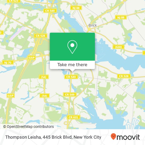 Mapa de Thompson Leisha, 445 Brick Blvd