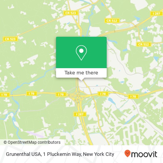 Grunenthal USA, 1 Pluckemin Way map