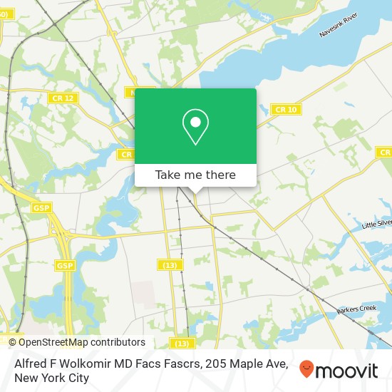 Mapa de Alfred F Wolkomir MD Facs Fascrs, 205 Maple Ave