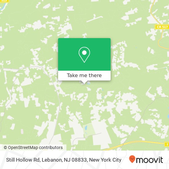 Mapa de Still Hollow Rd, Lebanon, NJ 08833