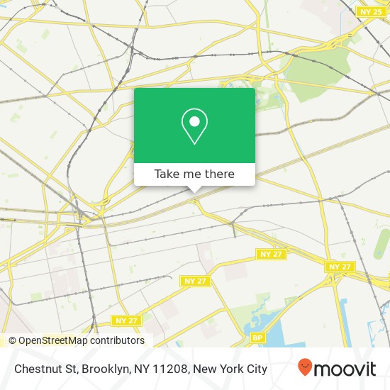 Chestnut St, Brooklyn, NY 11208 map