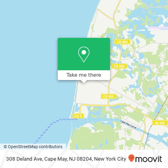 Mapa de 308 Deland Ave, Cape May, NJ 08204