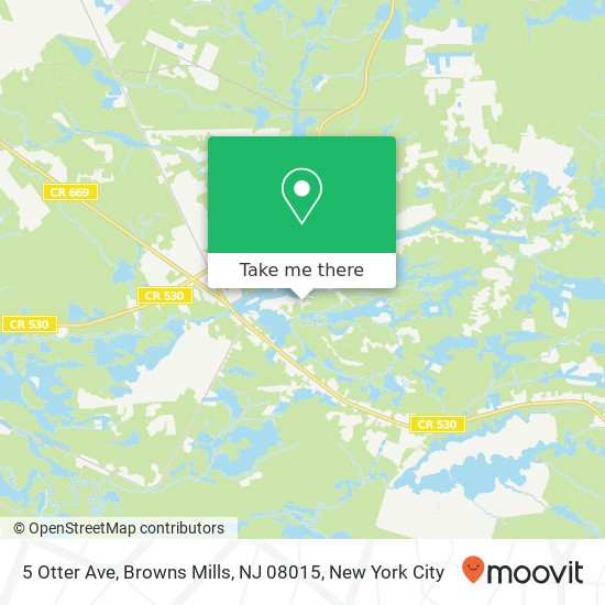 5 Otter Ave, Browns Mills, NJ 08015 map