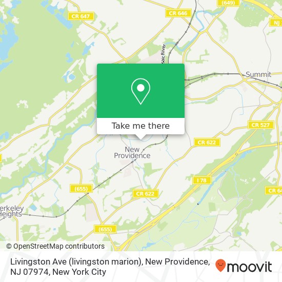 Mapa de Livingston Ave (livingston marion), New Providence, NJ 07974