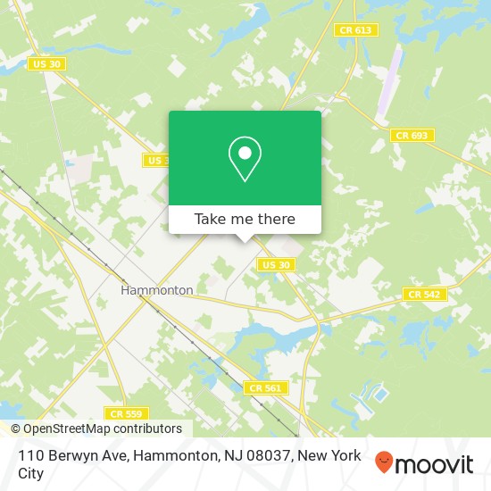 110 Berwyn Ave, Hammonton, NJ 08037 map