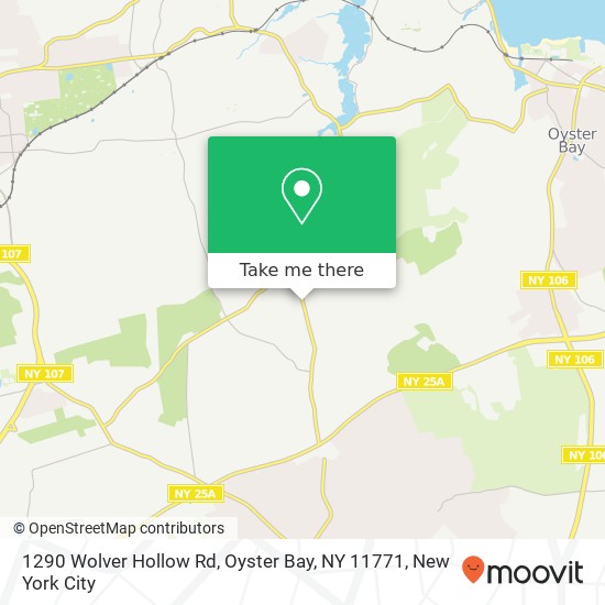 1290 Wolver Hollow Rd, Oyster Bay, NY 11771 map