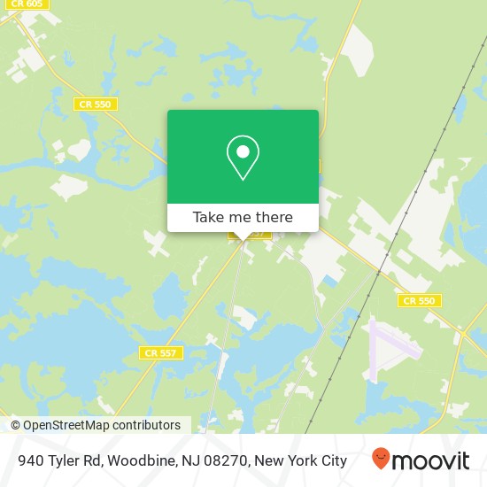 Mapa de 940 Tyler Rd, Woodbine, NJ 08270