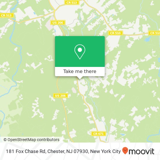 181 Fox Chase Rd, Chester, NJ 07930 map