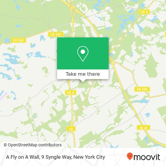 A Fly on A Wall, 9 Syngle Way map