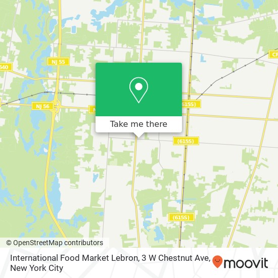 International Food Market Lebron, 3 W Chestnut Ave map