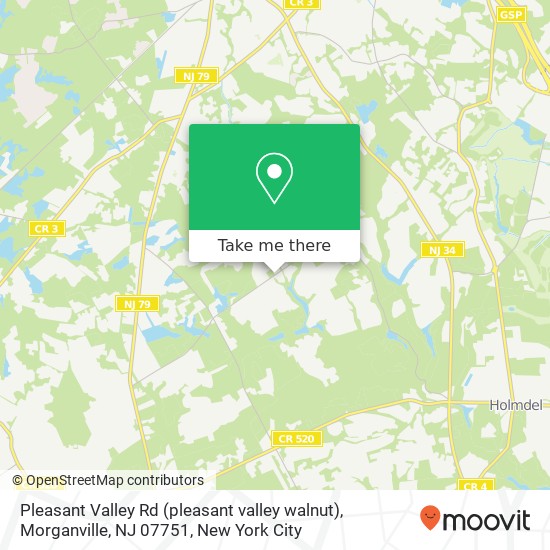 Mapa de Pleasant Valley Rd (pleasant valley walnut), Morganville, NJ 07751