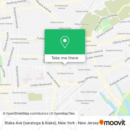 Blake Ave (saratoga & blake) map