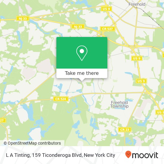 L A Tinting, 159 Ticonderoga Blvd map