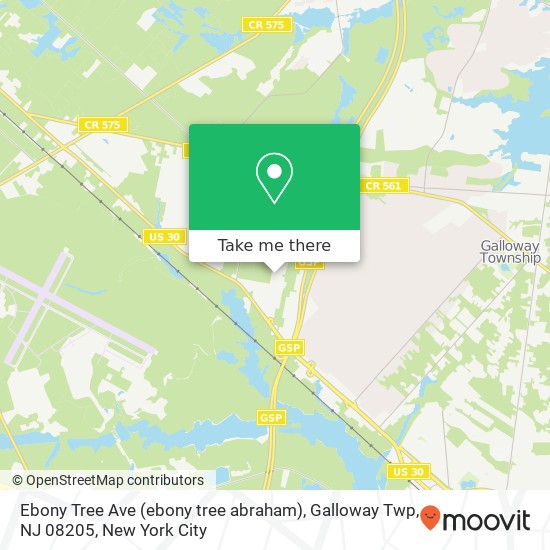 Mapa de Ebony Tree Ave (ebony tree abraham), Galloway Twp, NJ 08205