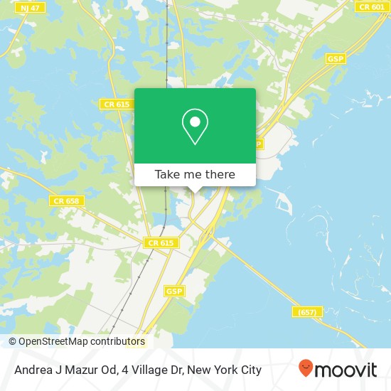 Andrea J Mazur Od, 4 Village Dr map