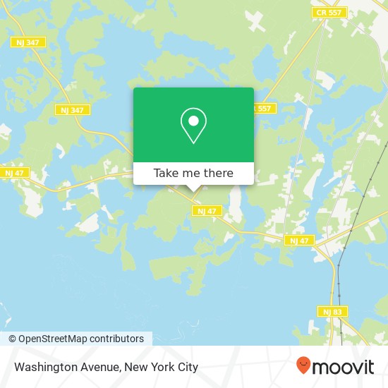 Washington Avenue map