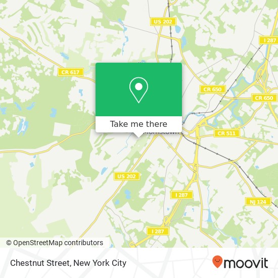 Chestnut Street map