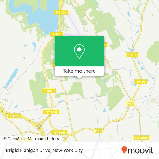 Brigid Flanigan Drive map