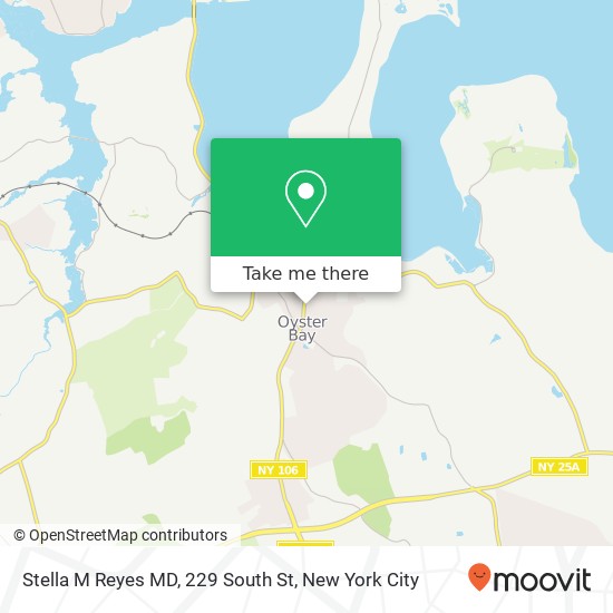 Mapa de Stella M Reyes MD, 229 South St