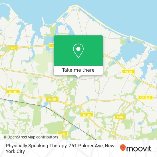 Physically Speaking Therapy, 761 Palmer Ave map