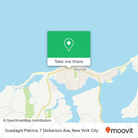 Guadagni Patrice, 7 Dickerson Ave map