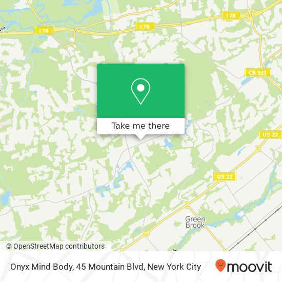 Onyx Mind Body, 45 Mountain Blvd map
