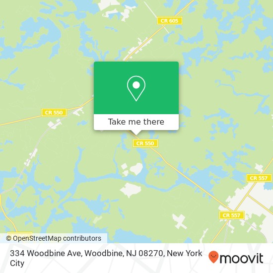 Mapa de 334 Woodbine Ave, Woodbine, NJ 08270