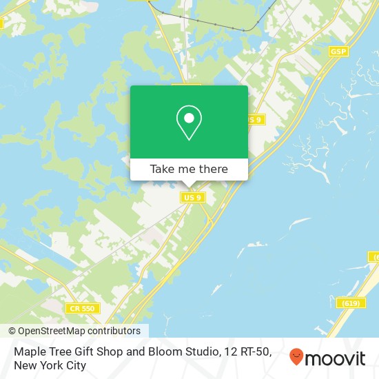 Mapa de Maple Tree Gift Shop and Bloom Studio, 12 RT-50