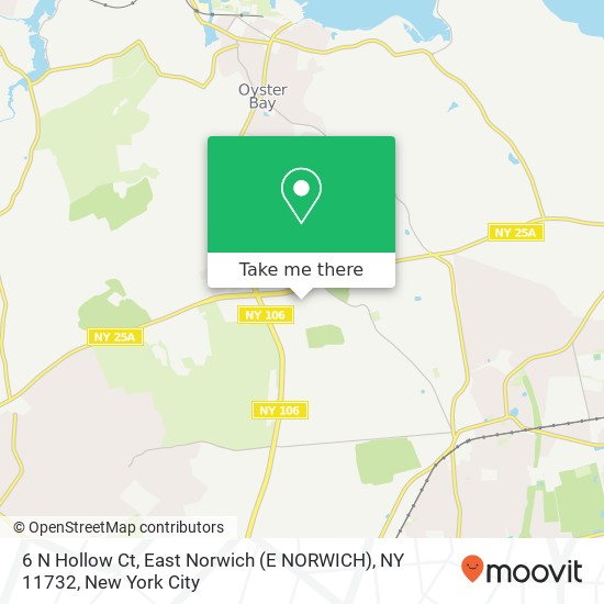 6 N Hollow Ct, East Norwich (E NORWICH), NY 11732 map