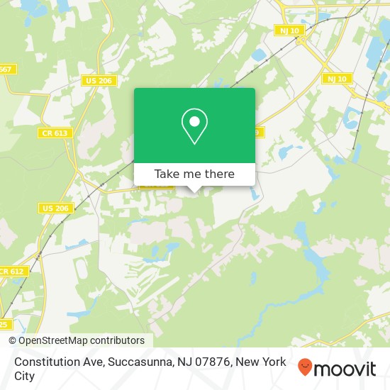Constitution Ave, Succasunna, NJ 07876 map