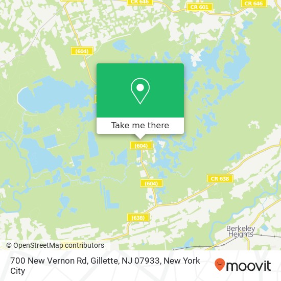 700 New Vernon Rd, Gillette, NJ 07933 map