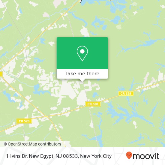 Mapa de 1 Ivins Dr, New Egypt, NJ 08533