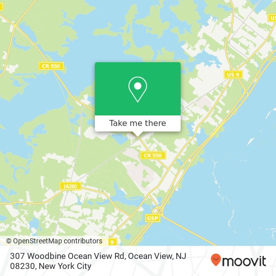 Mapa de 307 Woodbine Ocean View Rd, Ocean View, NJ 08230
