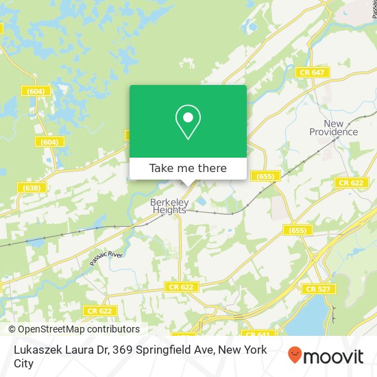 Mapa de Lukaszek Laura Dr, 369 Springfield Ave