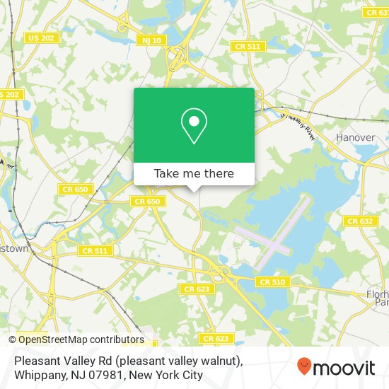 Mapa de Pleasant Valley Rd (pleasant valley walnut), Whippany, NJ 07981