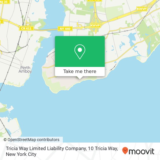 Mapa de Tricia Way Limited Liability Company, 10 Tricia Way