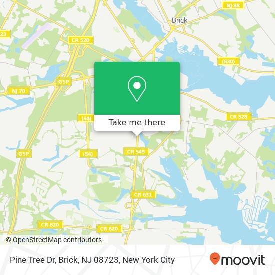 Mapa de Pine Tree Dr, Brick, NJ 08723