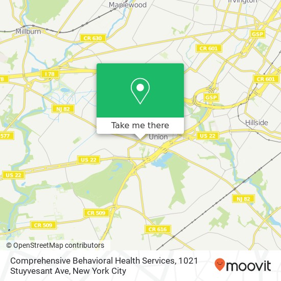 Comprehensive Behavioral Health Services, 1021 Stuyvesant Ave map
