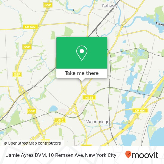 Jamie Ayres DVM, 10 Remsen Ave map