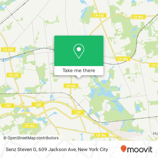 Mapa de Senz Steven G, 609 Jackson Ave