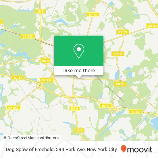 Mapa de Dog Spaw of Freehold, 594 Park Ave