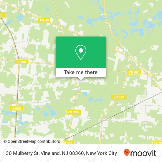 Mapa de 30 Mulberry St, Vineland, NJ 08360