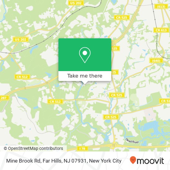 Mapa de Mine Brook Rd, Far Hills, NJ 07931
