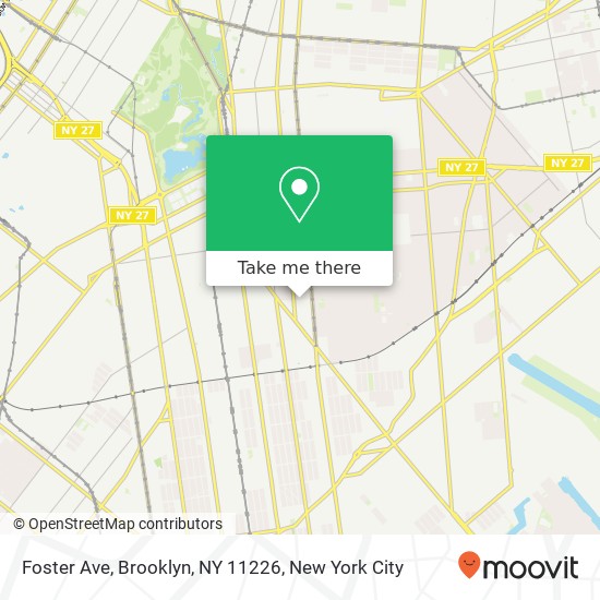 Foster Ave, Brooklyn, NY 11226 map