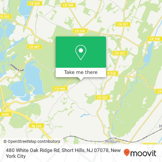 Mapa de 480 White Oak Ridge Rd, Short Hills, NJ 07078