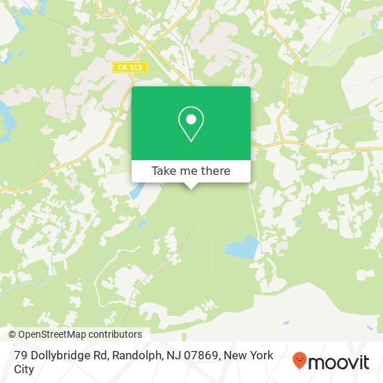 79 Dollybridge Rd, Randolph, NJ 07869 map